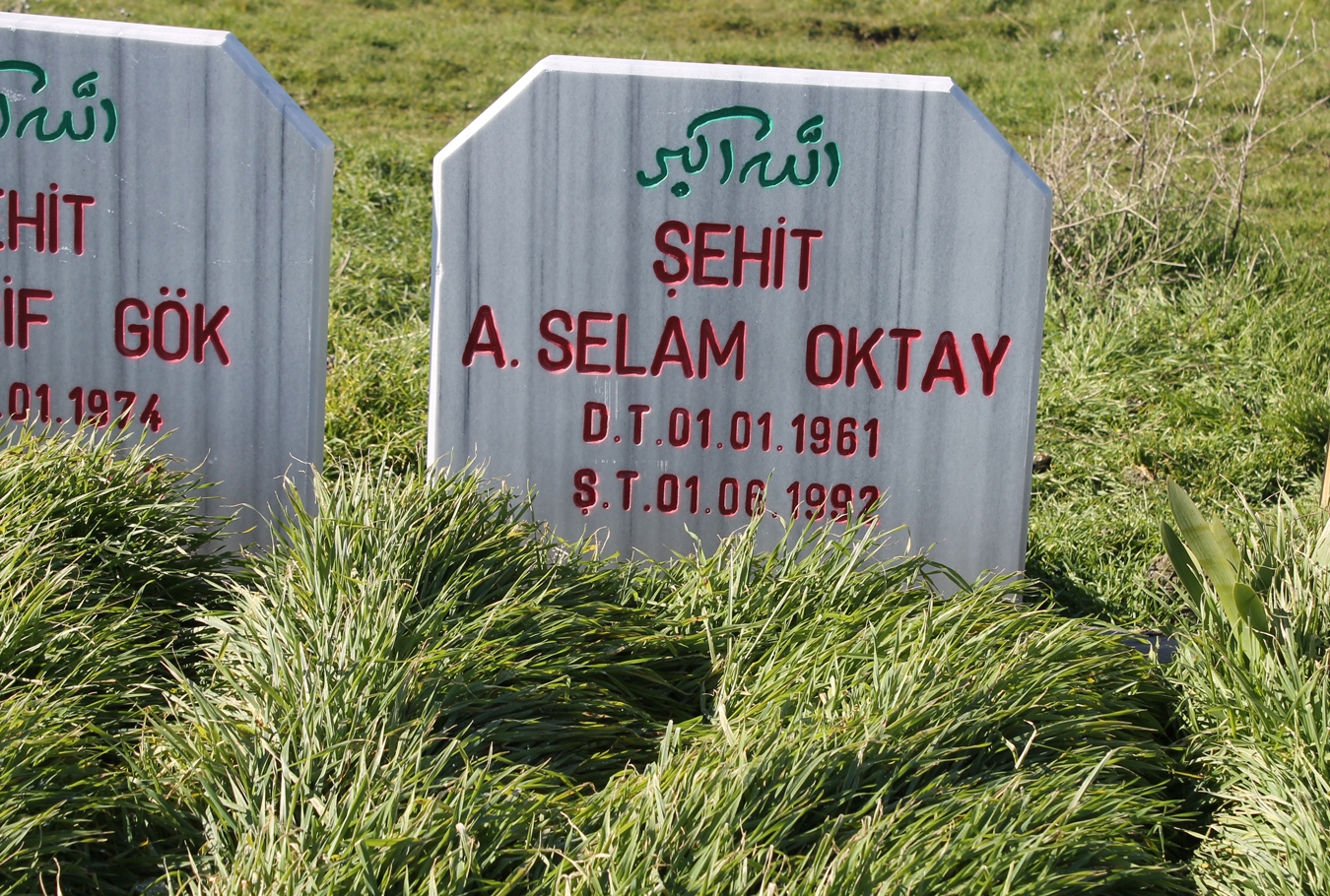PKK'ye evini açmadığı için direğe asılıp katledildi